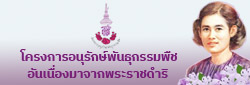 Relateds Banner Slider-68f7b80183b33.jpg